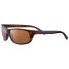 Lunettes De Soleil Serengeti Bormio Matte Black Tortoise Saturn Polarized Drivers 1 Lunettes De Soleil Serengeti Bormio Matte Black Tortoise Saturn Polarized Drivers -Promos Lunettes De Soleil Magasin 4a04facbd615c8e80555668cd8fdd442cabb785d E23SERELUN345089 SERE0093394 0