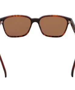 Lunettes De Soleil Red Bull Spect Cary Shiny Havana Brown -Promos Lunettes De Soleil Magasin 4b6aef662852d176db3e6b7b1bea3c9368e37e0a E22REDBLUN200882 REDB0586609 2