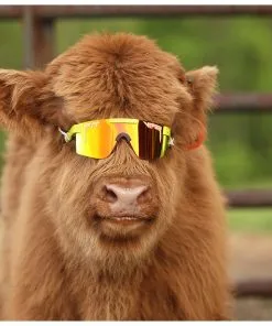 Lunettes De Soleil Pit Viper Originals Double Wides Polarized The 1993 -Promos Lunettes De Soleil Magasin 6f0b5227d2ae9b3e4c8978387ea71cb9676493e9 E22PITVLUN345855 PITV0202946 902