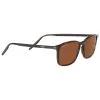 Lunettes De Soleil Serengeti Lenwood Shiny Dark Havana Polarized Drivers -Promos Lunettes De Soleil Magasin 88dd3ebcf27a90b66ba64f4870982a11a9e6aac2 E21SERELUN183951 SERE0428879 0
